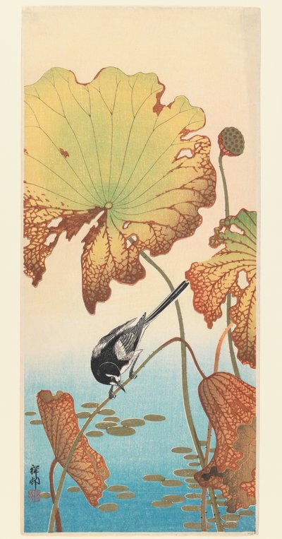 Wagtail and Lotus by Ohara Koson